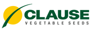 Clause