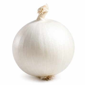 Цибуля сіянка Гледстоун (Gladstone) - 0,5 кг, TOP Onions 00385 фото