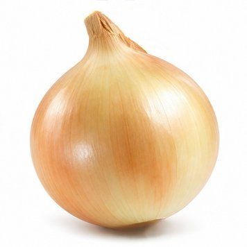 Цибуля сіянка Глобо (Globo) - 0,5 кг, TOP Onions 00389 фото